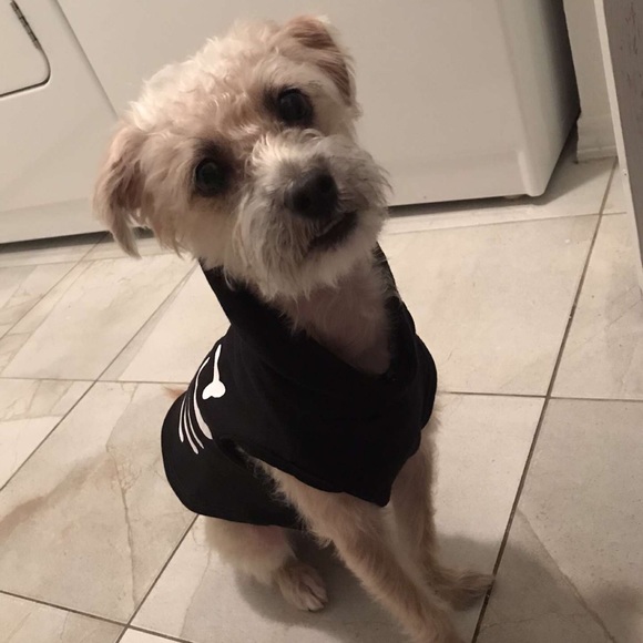 Meet your Posher, Monique - Picture 1 of 1